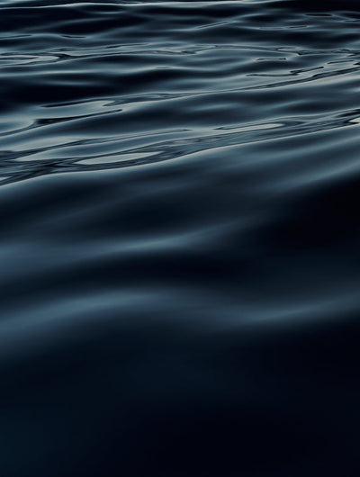 Farmed v.s Wild Caught Marine Collagen