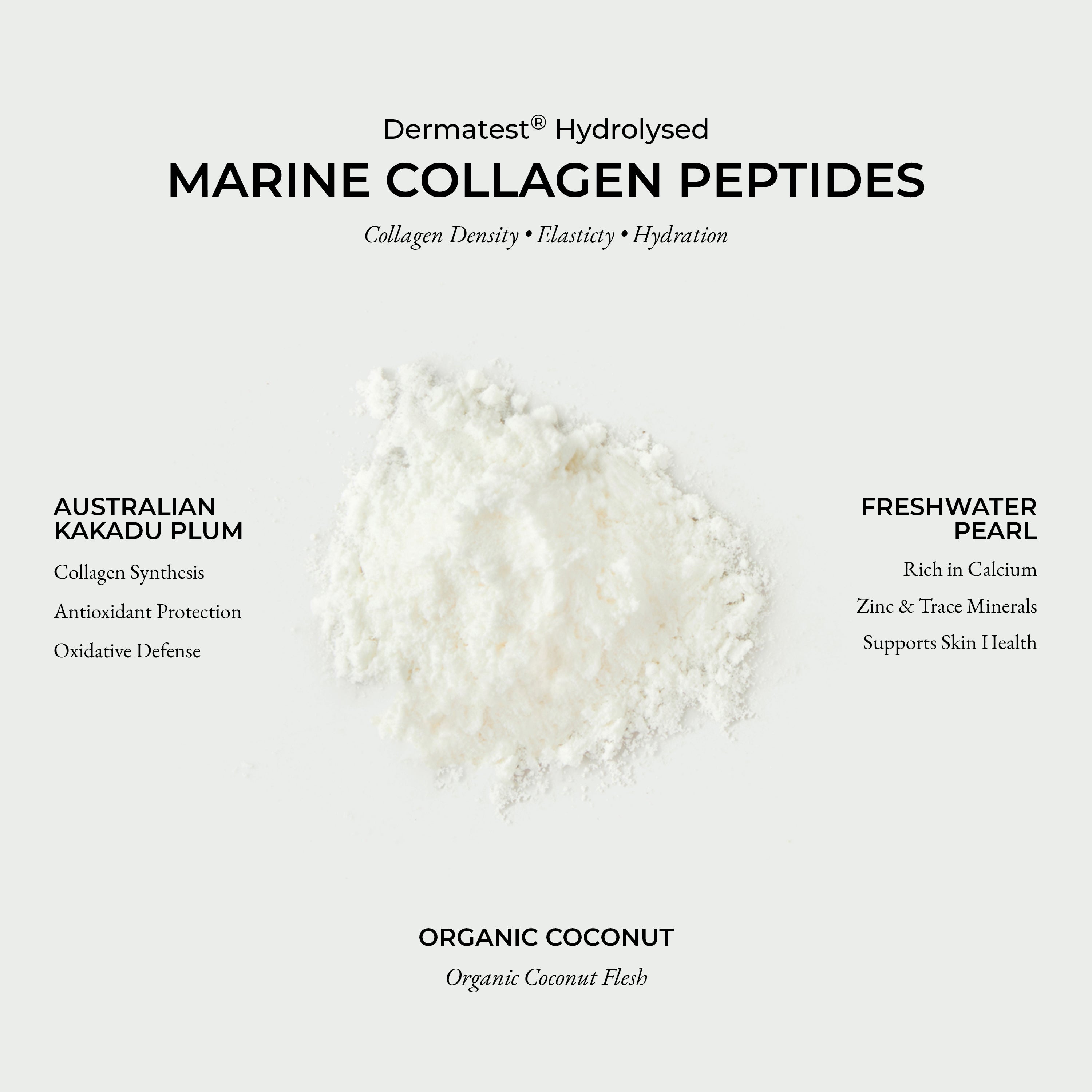 Marine Collagen SuperPowder (Organic Coconut)
