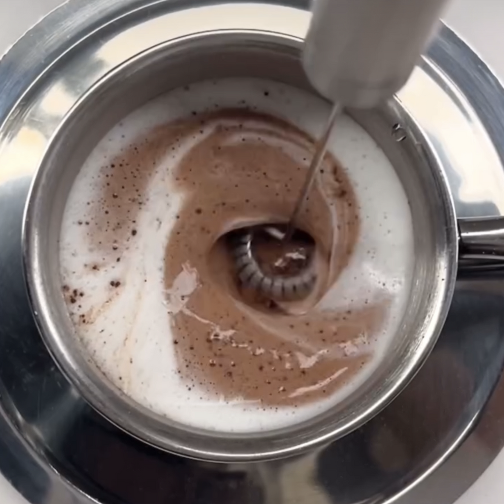 The Handheld Whisk